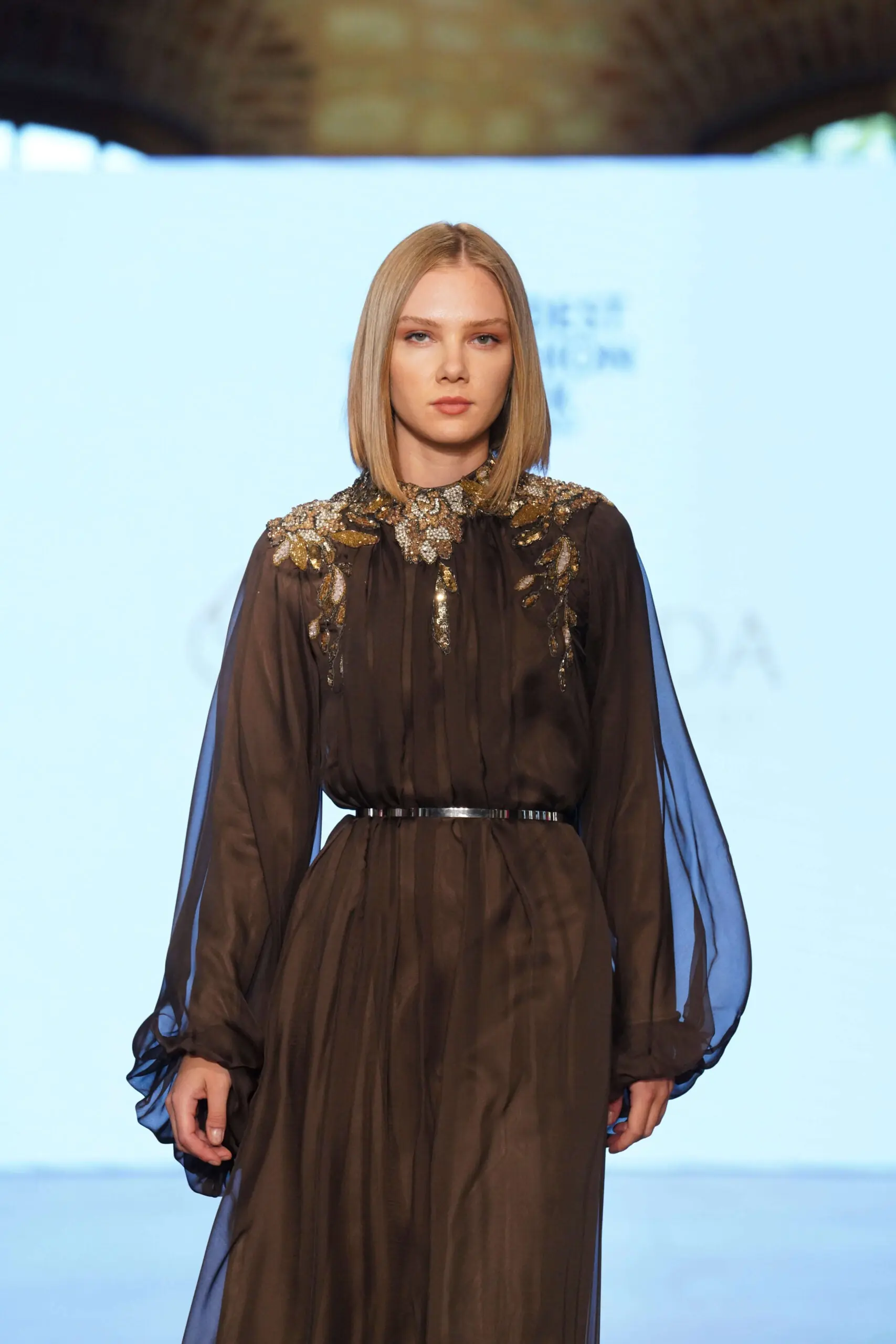 Sapphire Dust Balcanian Embellished Silk Gown – Brown, photo 2