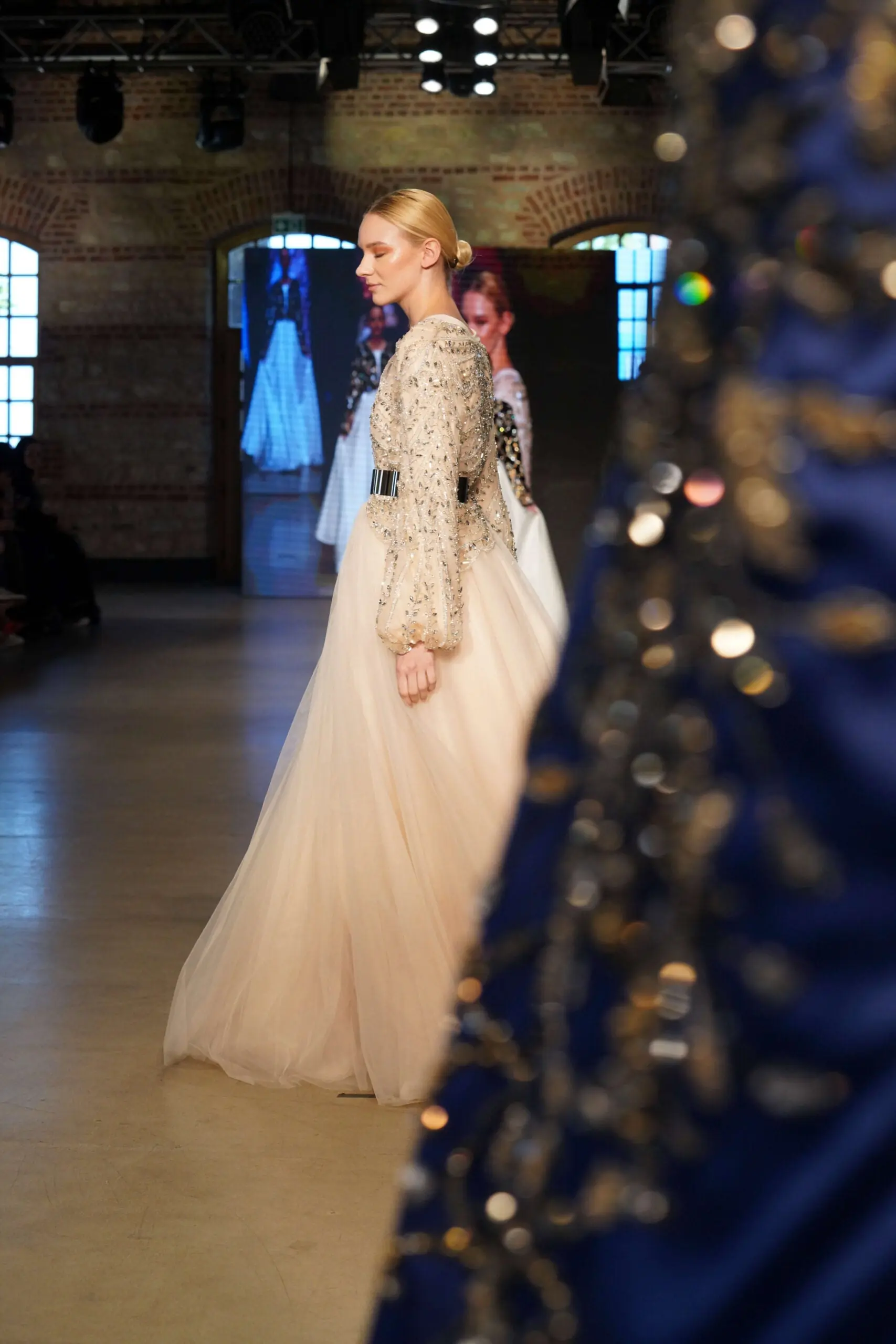 Diamond Whisper Balcanian Pearl-Embroidered Tulle Gown – Champagne, photo 3