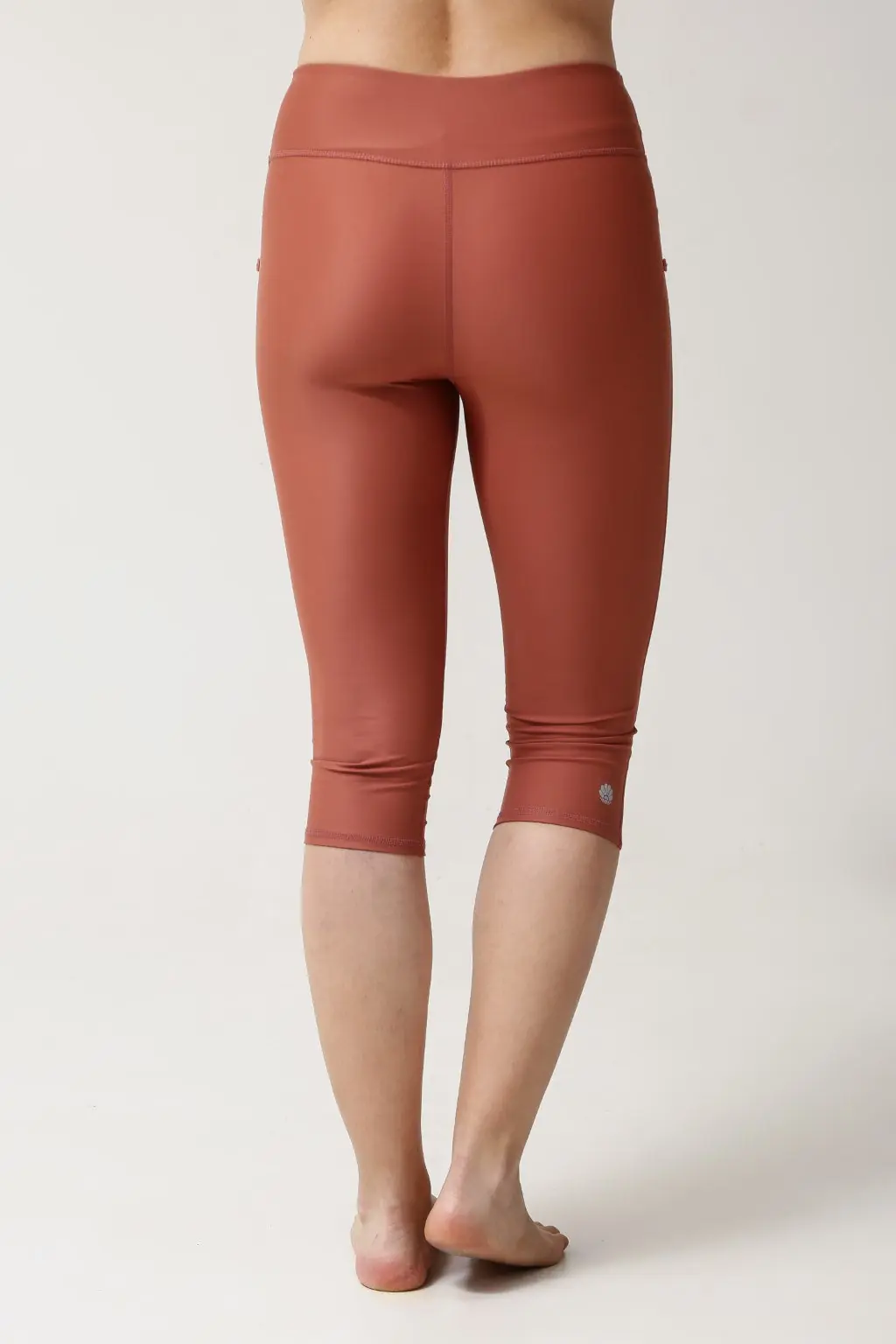 Capri Swim Tights - Clay, photo 3