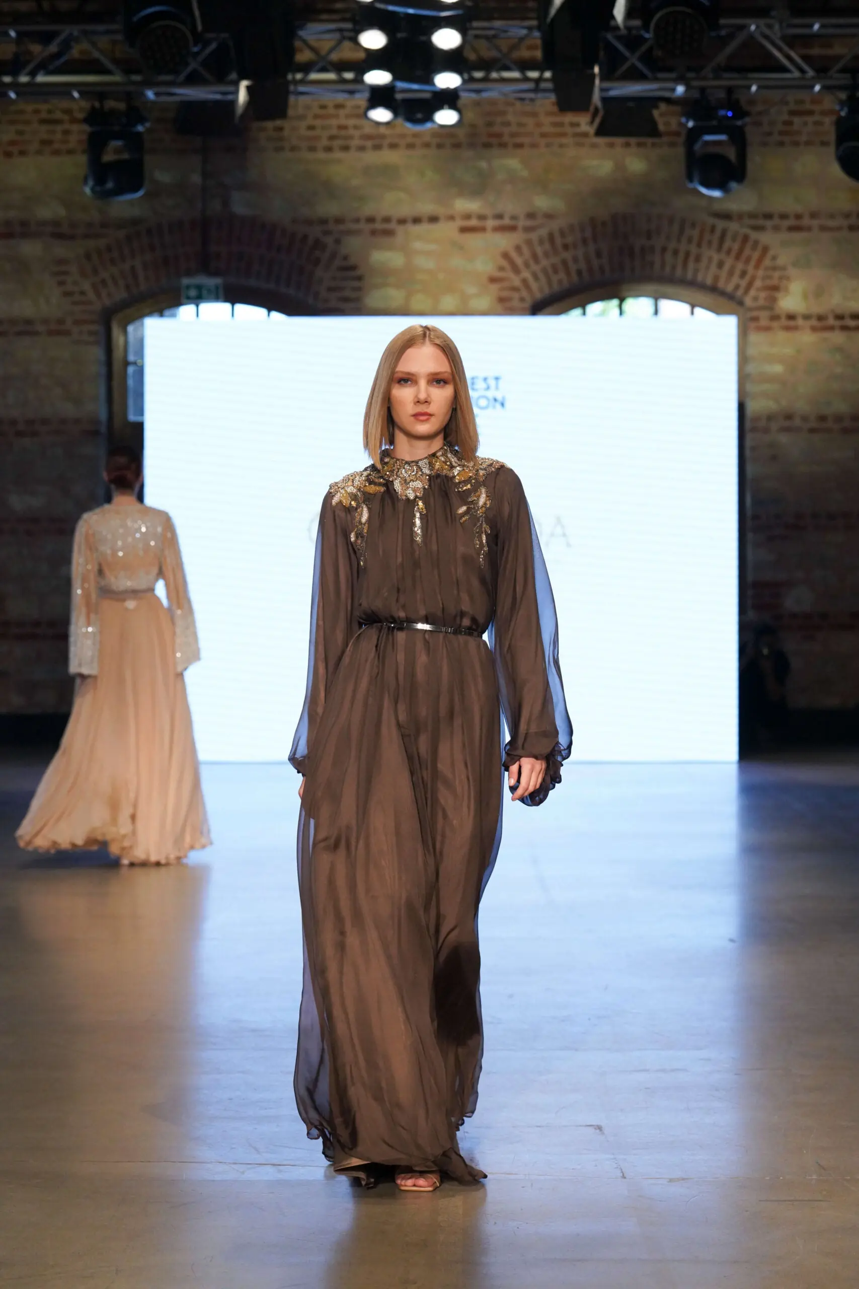 Sapphire Dust Balcanian Embellished Silk Gown – Brown